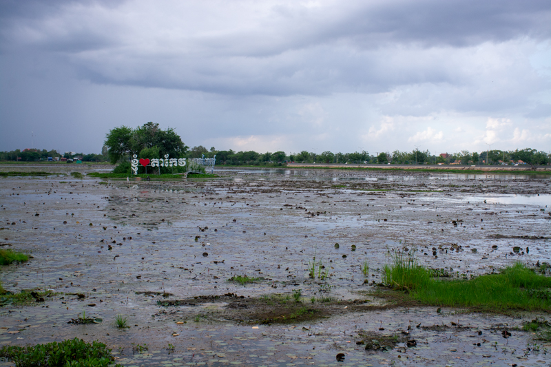 dsc 5008