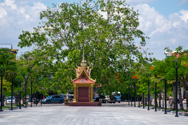 dsc 5038