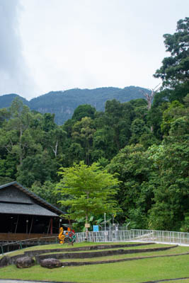 dsc 5317