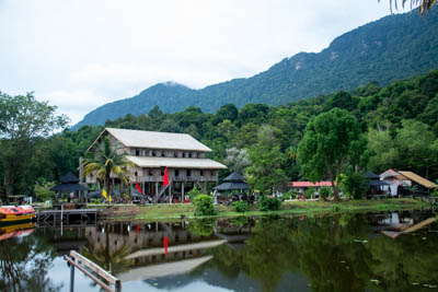 dsc 5341