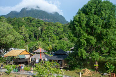 dsc 5488