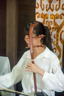 dsc 5785