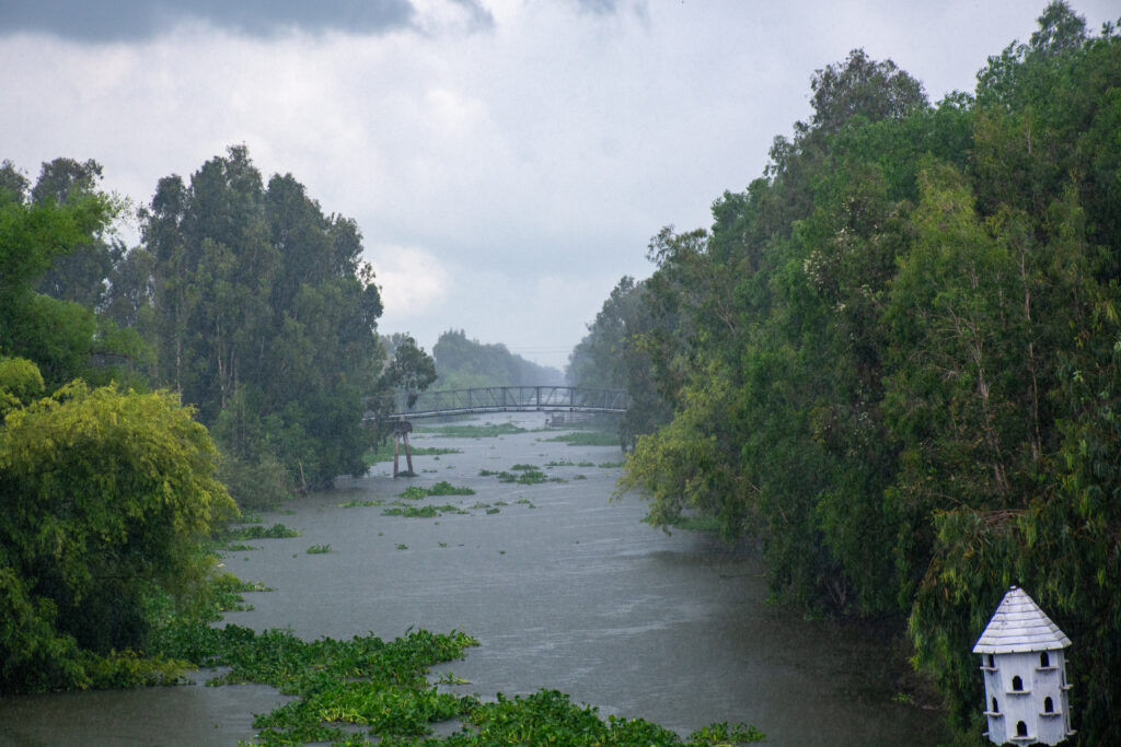 dsc 1458