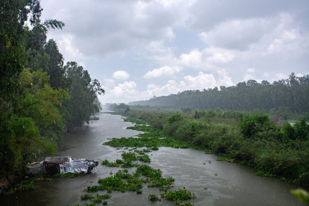 dsc 1459