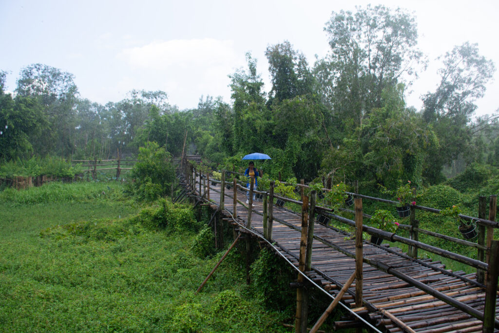 dsc 1464