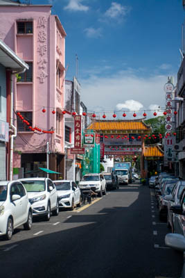 dsc 5213