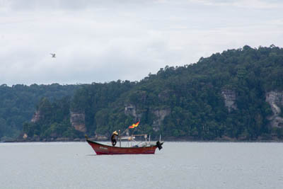 dsc 6035