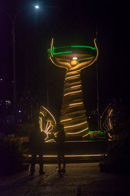dsc 6169