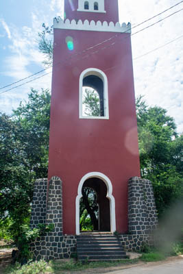 dsc 6195