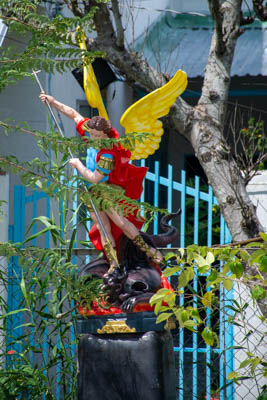 dsc 6593