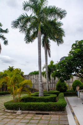 dsc 4915