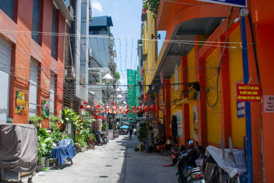 dsc 6684